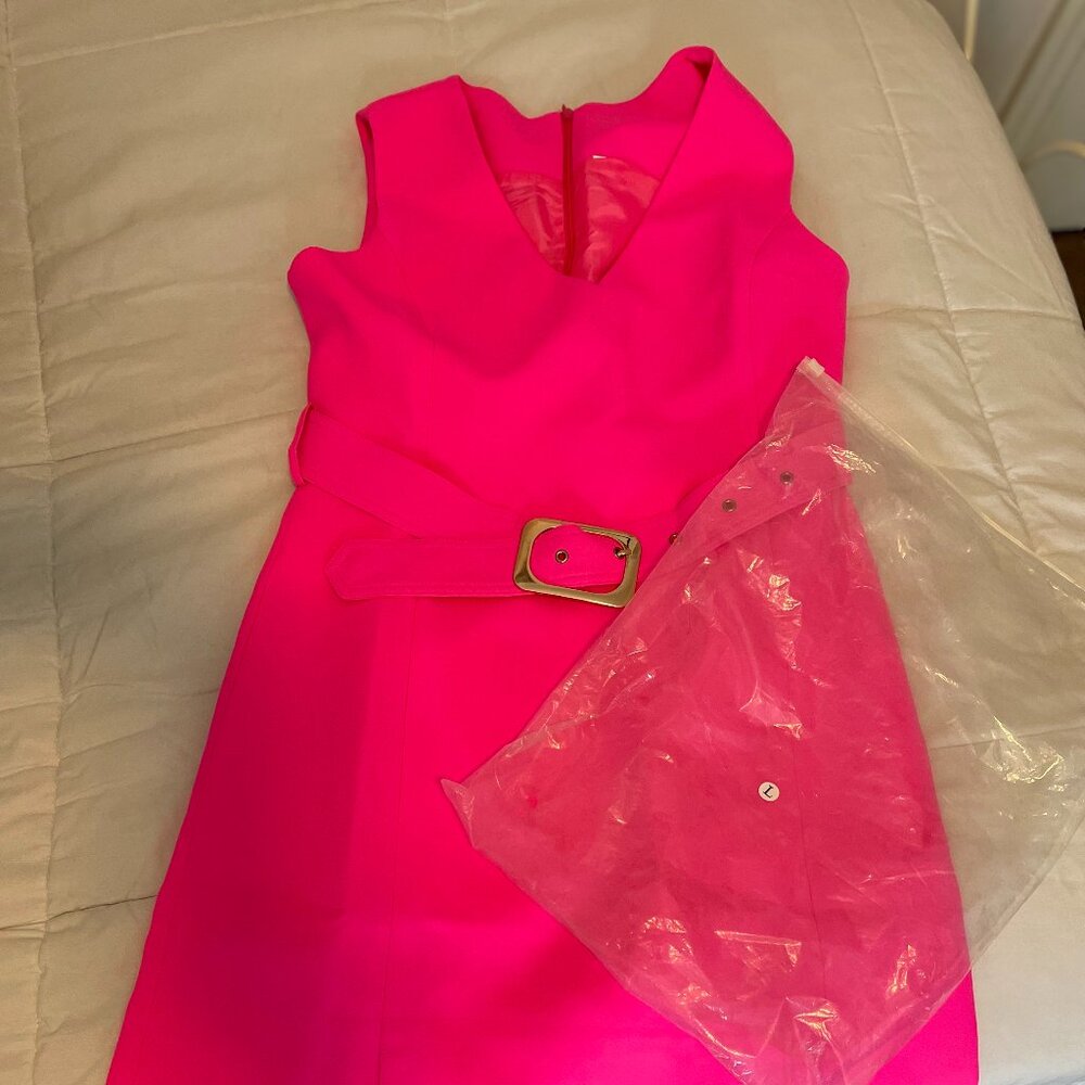 PinkApple Dresses  Betty Style Dress in Pink-NEW, SIZE L